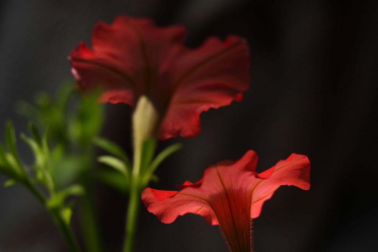 2014 06 28 HTP 66339